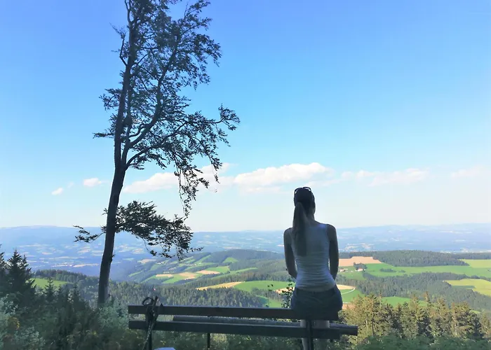 度假居 Grosses Mit 5 Schlafzimmer & 4 Baeder Pöllauberg